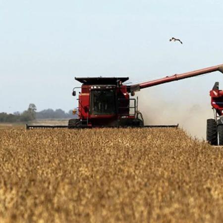 El Niño: advierten por su impacto en soja y maíz de Argentina y Brasil