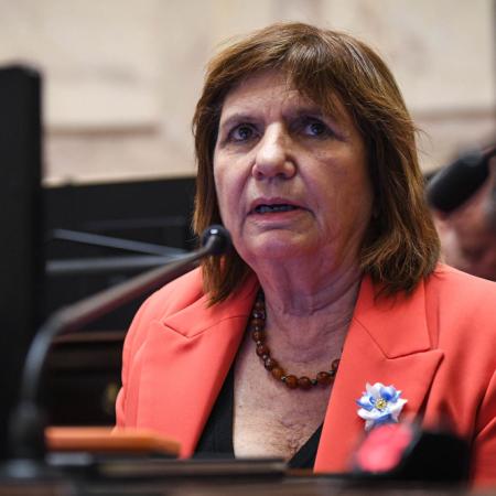Ley de Tierras: la jugada de Bullrich que hizo caer la sesión en el Senado