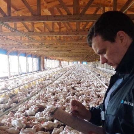 Día de la Avicultura:  conocé al sector que ya compite mano a mano con la carne vacuna