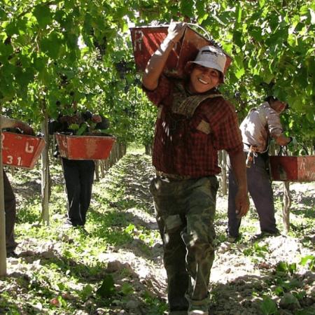 Paritaria del campo: con negociaciones trabadas, UATRE reclama un básico de $1,5 millones