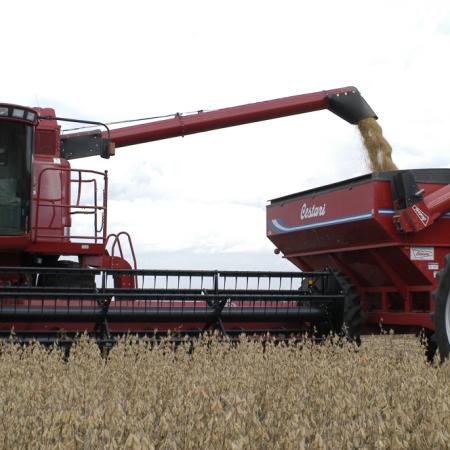 La BCBA actualizó la campaña de granos: cómo vienen soja, maíz, sorgo y trigo
