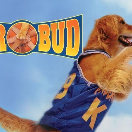 ¿Te acordás del perro deportista? Buddy Superstar regresa al cine en 2027