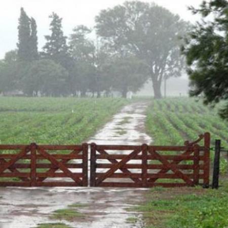Qué pronostica el SMN para el campo argentino y cómo podría impactar en la producción
