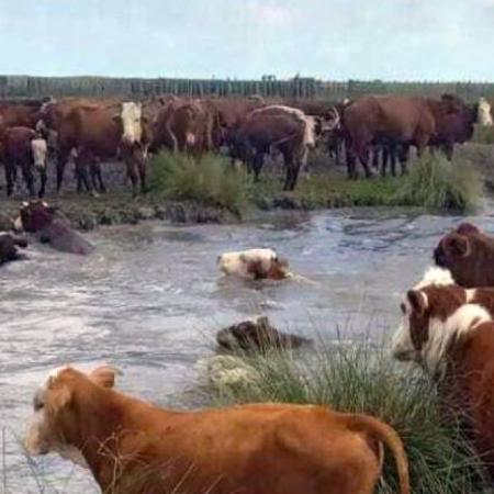 “El Niño acá ya empezó”: Alarma entre productores del norte de Santa Fe por las lluvias