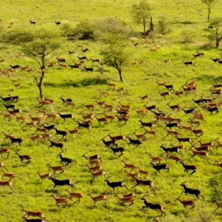 UNESCO sumó seis sitios al Patrimonio Mundial en Peligro por las guerras