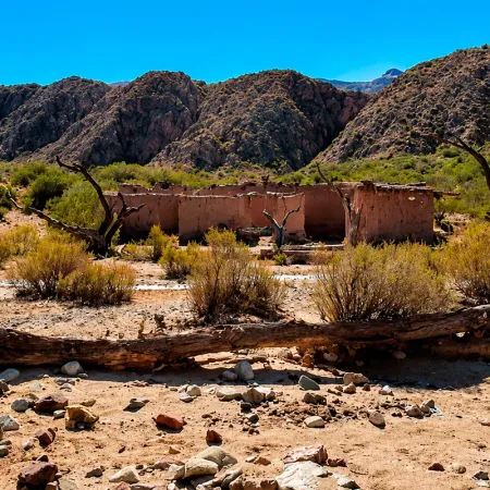 Ley de Tierras: una batalla tras otra