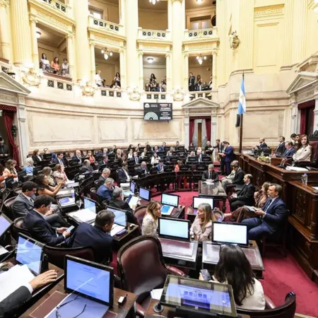 Ley de Tierras: el peronismo denunció una "entrega de la soberanía" y llamó a las calles