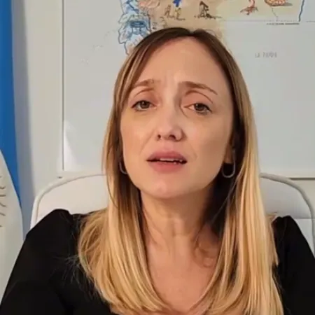 Ley de Tierras: el embarazo de Fernández Sagasti reabre una discusión que parecía cerrada