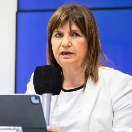 Ley de Tierras: Bullrich encabezará una conferencia para explicar el proyecto