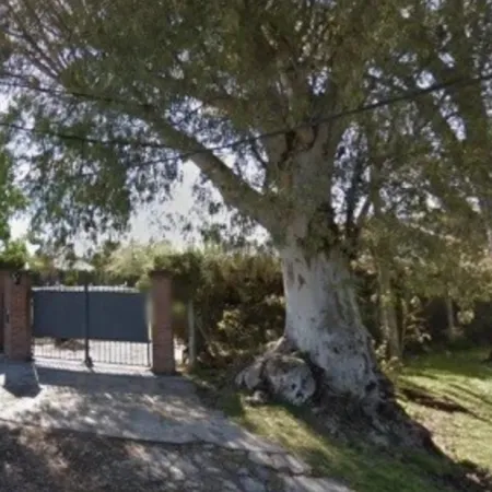 Fue a buscar a su amiga porque no respondía los mensajes: estaba muerta en un pozo ciego