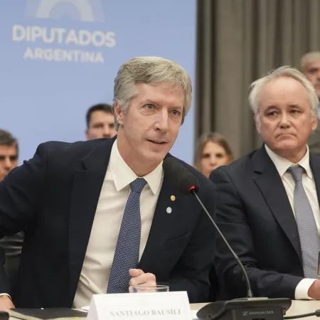 Qué plantearon Bausili y Werning para defender la reforma del Banco Central ante Diputados
