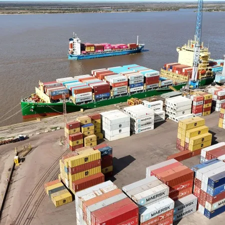 Soja y carne: la exigencia de Europa que Argentina deberá cumplir desde enero 2027