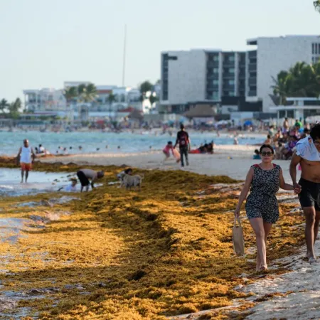 El Caribe enfrenta su segundo mayor año de sargazo pese a la baja de julio