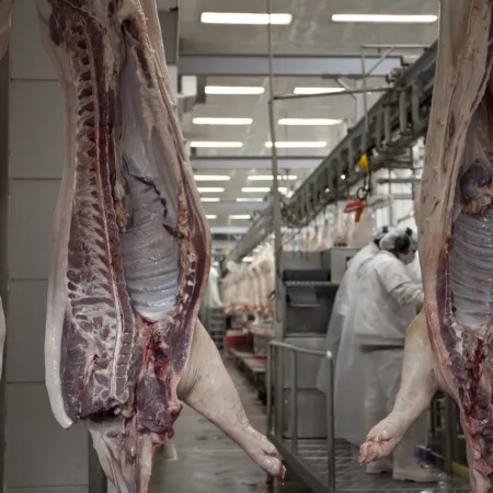 Santa Fe apuesta a la carne de cerdo con cortes a $7.900 y apunta al consumo interno