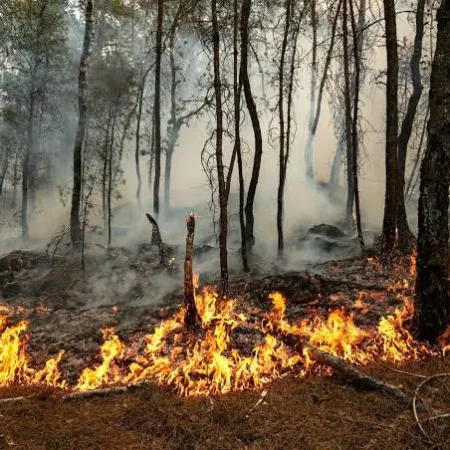 Reino Unido activó una reunión de emergencia por sequía e incendios graves