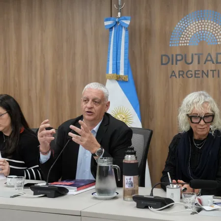 Represión en debate: LLA faltó a la reunión y la oposición apuntó contra Monteoliva