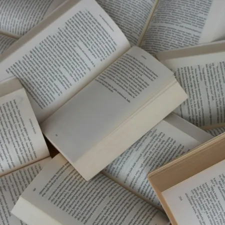 El Caribe colombiano en la literatura contemporánea