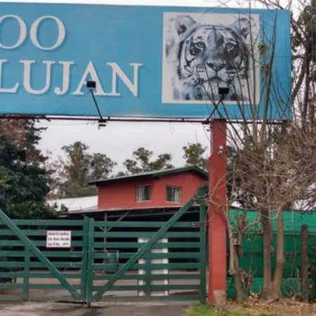 Operativo histórico: 30 felinos del ex Zoo de Luján son trasladados a santuarios
