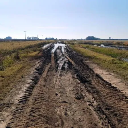 Caminos rurales en desuso: Municipios podrían alquilarlos para "frenar" usurpaciones