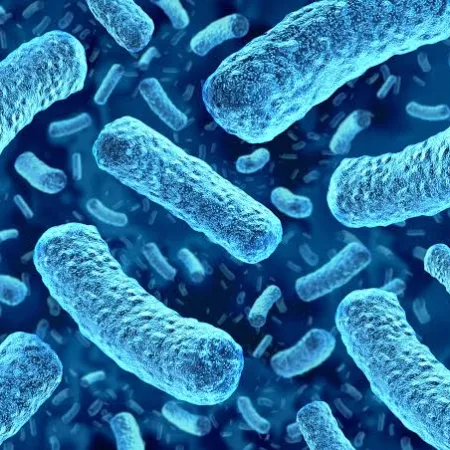 Estados Unidos supera 15.700 casos de Cyclospora: 13 veces la temporada de 2025