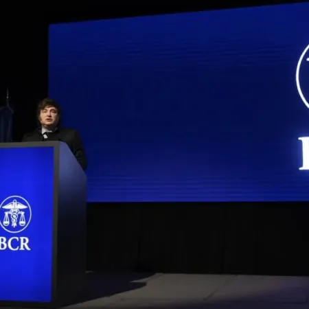 La mora aflojó en junio: ¿a qué se debe y qué explicaciones dio Milei?