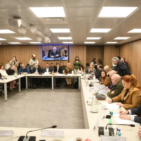 Cambios para 30 millones de argentinos: qué propone el nuevo régimen que debate Diputados