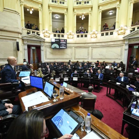 $LIBRA y ANDIS: el Senado define dos lugares clave en la Cámara Federal porteña