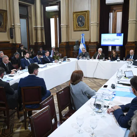 Biocombustibles: Un proyecto de Capitanich agitó el debate en el Senado