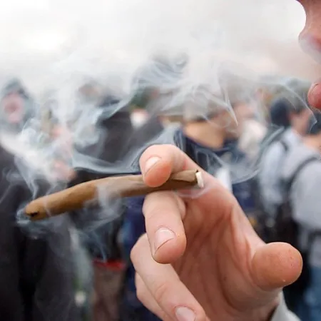 Marihuana en jóvenes: advierten que puede bajar 8 puntos el coeficiente intelectual