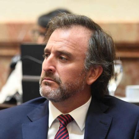 Ley de Tierras: quién es el senador de Milei que vende campos a extranjeros