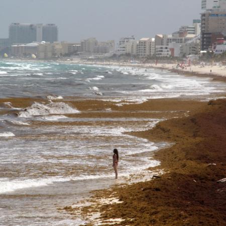 El turismo del Caribe crece mientras el sargazo encarece la defensa de las playas