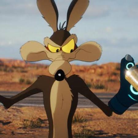 Coyote vs. Acme abre la puerta: las dos películas animadas que podrían rescatarse