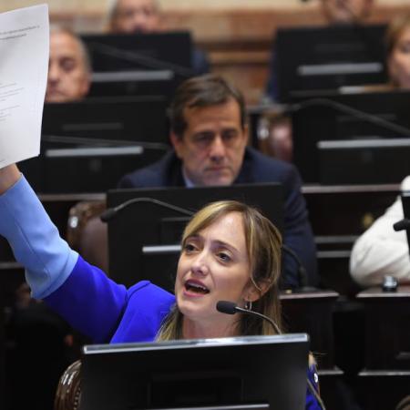 Qué cambia en el Senado con la propuesta de Fernández Sagasti para votar de forma remota