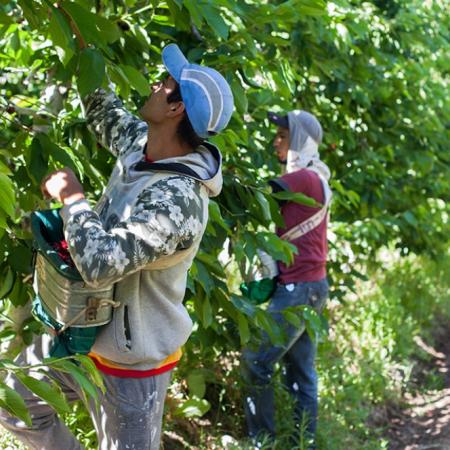 UATRE pidió prorrogar el régimen que permite trabajar y mantener planes sociales