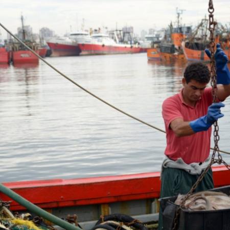 Conocé el dato de Agricultura sobre pesca que la industria puso bajo la lupa