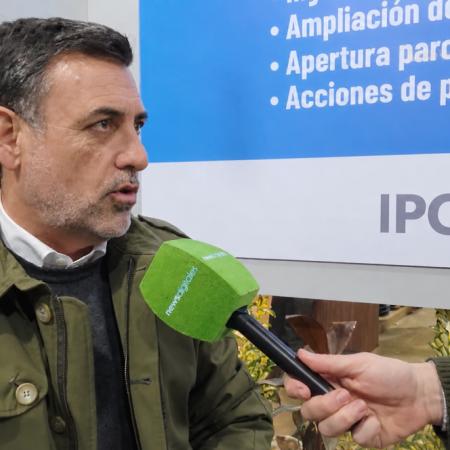 La carne vacuna no repunta: por qué el consumo en Argentina sigue estancado
