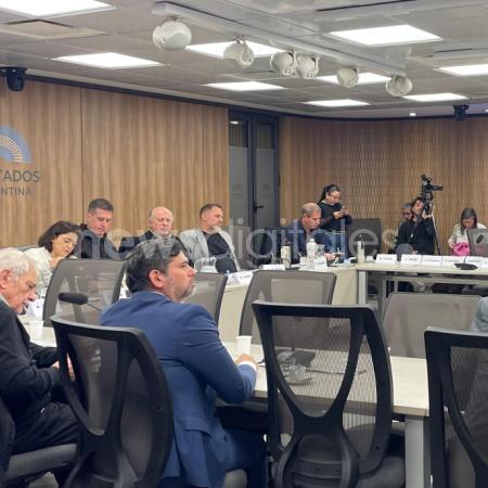 Peter Thiel, Milei, tierras y el negocio de la IA: las preguntas que llegan al Congreso