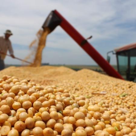 Retenciones: cuánto aportarán las cadenas de soja, maíz y trigo al fisco en 2026