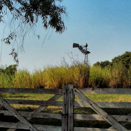 Ley de Tierras: qué impacto tendrá  el proyecto de Milei sobre los pequeños productores