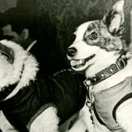 Belka y Strelka: el vuelo que cambió la exploración espacial soviética