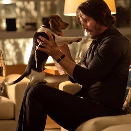 John Wick y la explicación de por qué eligieron matar un perro para iniciar la saga