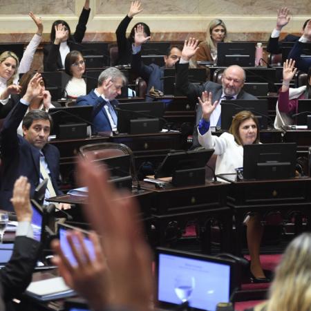$LIBRA y ANDIS: qué juez queda afuera de Comodoro Py tras la sesión del Senado