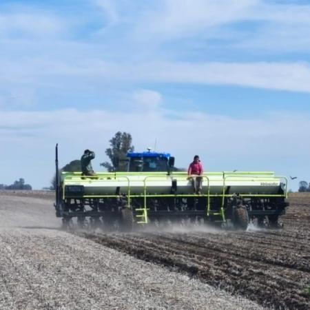 En zona núcleo, los productores adelantan la siembra de maíz para gambetear al Niño