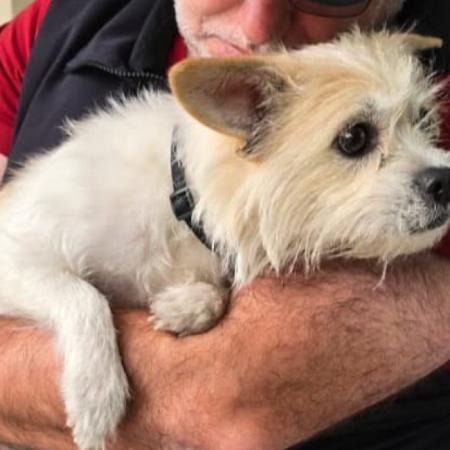 Rescataron a una perra víctima de maltrato animal en el barrio de Villa Santa Rita