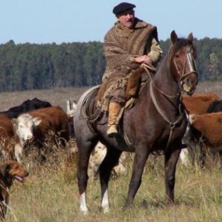 Hoy vence un beneficio y UATRE advirtió por 120.000 empleos rurales en riesgo