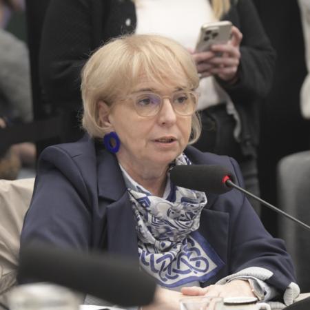 El plan de LLA en Diputados para los endeudados: qué pasaría si estás en mora