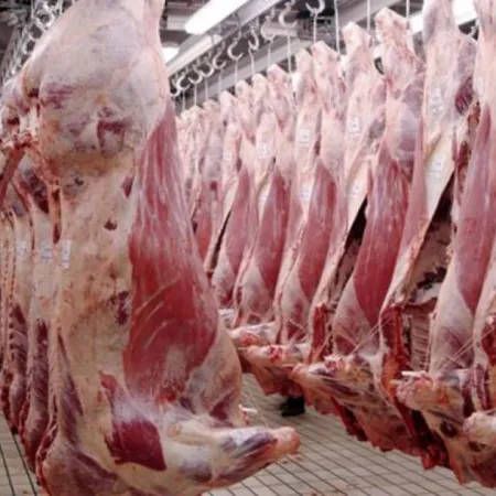 Carne argentina: la oportunidad que abre el cierre de Brasil en Europa