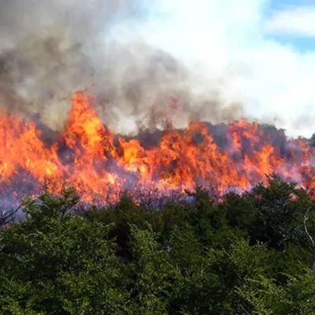 El humo de incendios amenaza los avances en calidad del aire a miles de kilómetros
