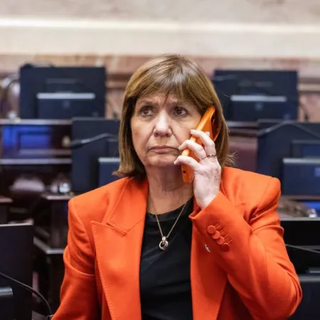 Biocombustibles: un nuevo tropiezo de Patricia Bullrich que la expone ante Milei