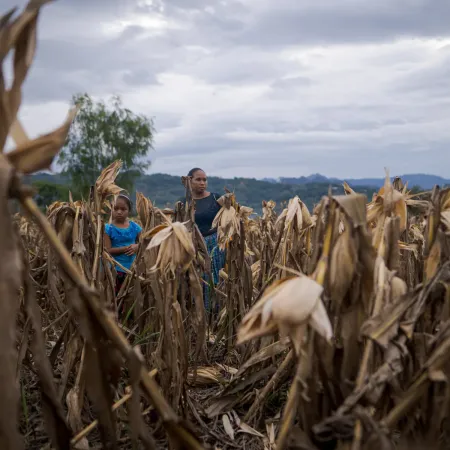 Guatemala mantiene alerta naranja por sequía y acelera la ayuda alimentaria